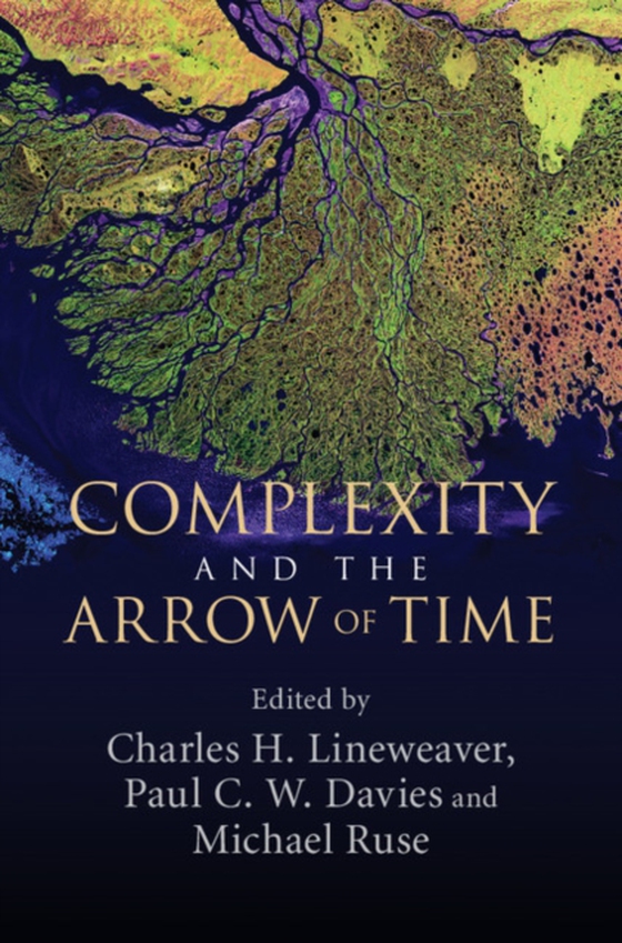 Complexity and the Arrow of Time (e-bog) af -