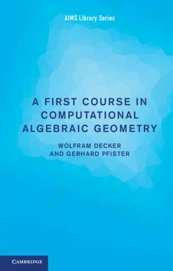 First Course in Computational Algebraic Geometry (e-bog) af Pfister, Gerhard