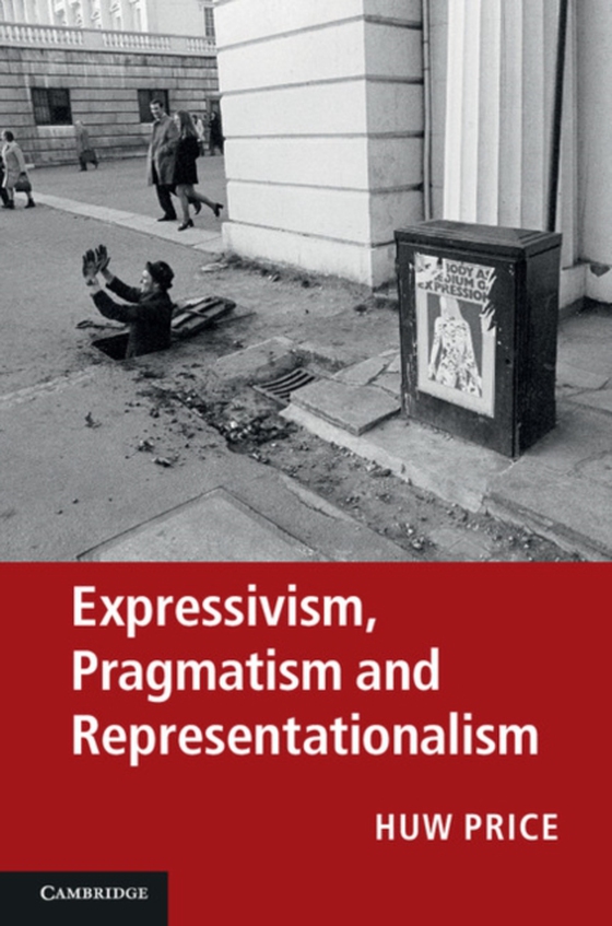 Expressivism, Pragmatism and Representationalism (e-bog) af Williams, Michael