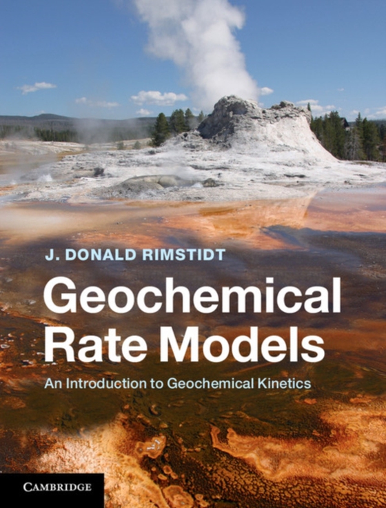 Geochemical Rate Models (e-bog) af Rimstidt, J. Donald