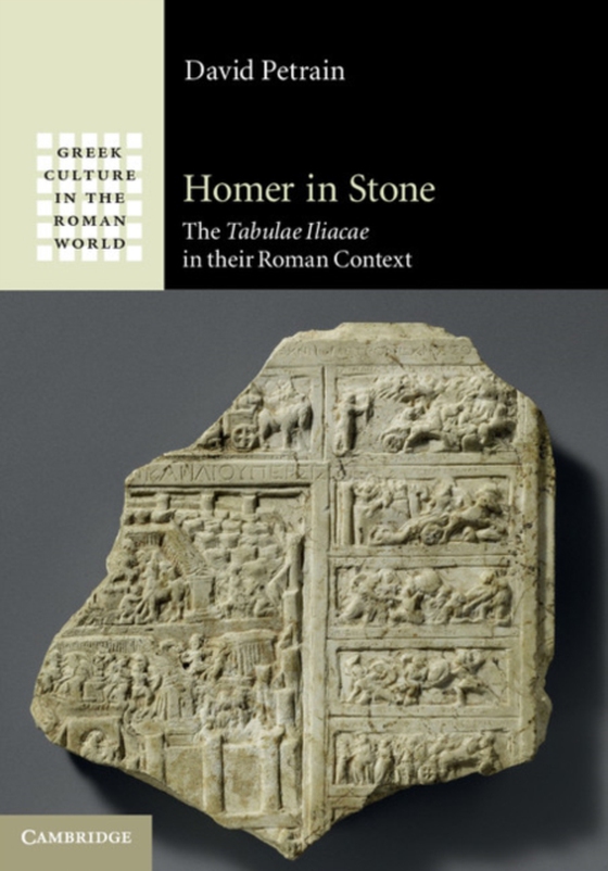 Homer in Stone (e-bog) af Petrain, David