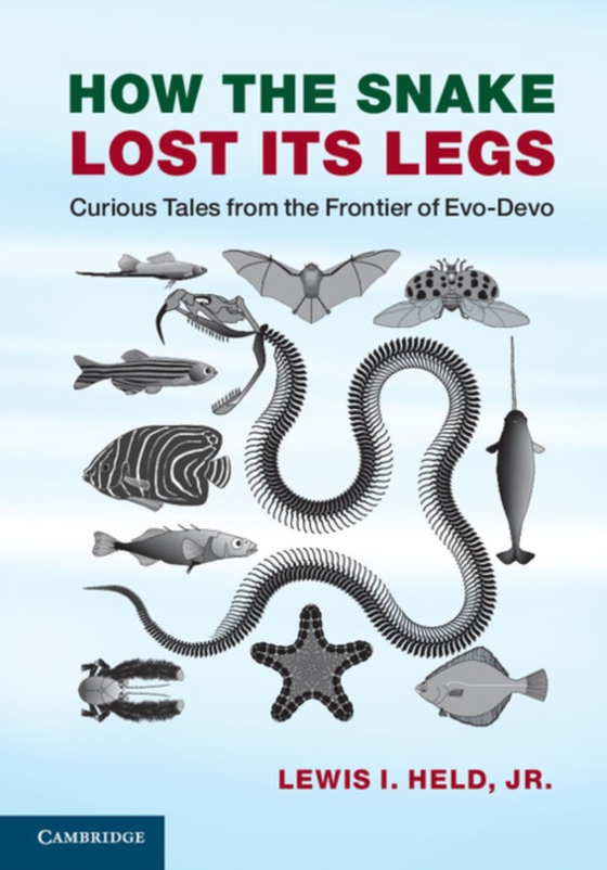 How the Snake Lost its Legs (e-bog) af Lewis I. Held, Jr