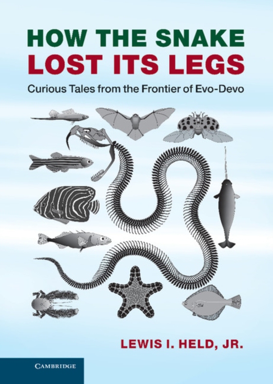 How the Snake Lost its Legs (e-bog) af Lewis I. Held, Jr