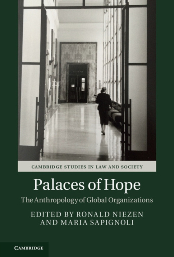 Palaces of Hope (e-bog) af -