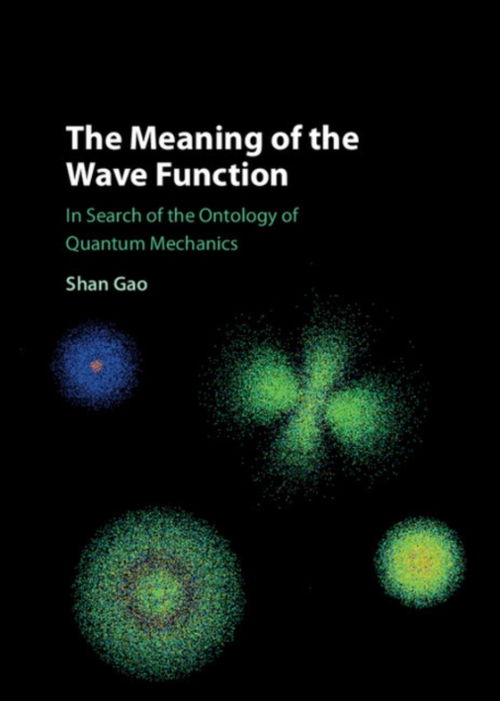 Meaning of the Wave Function