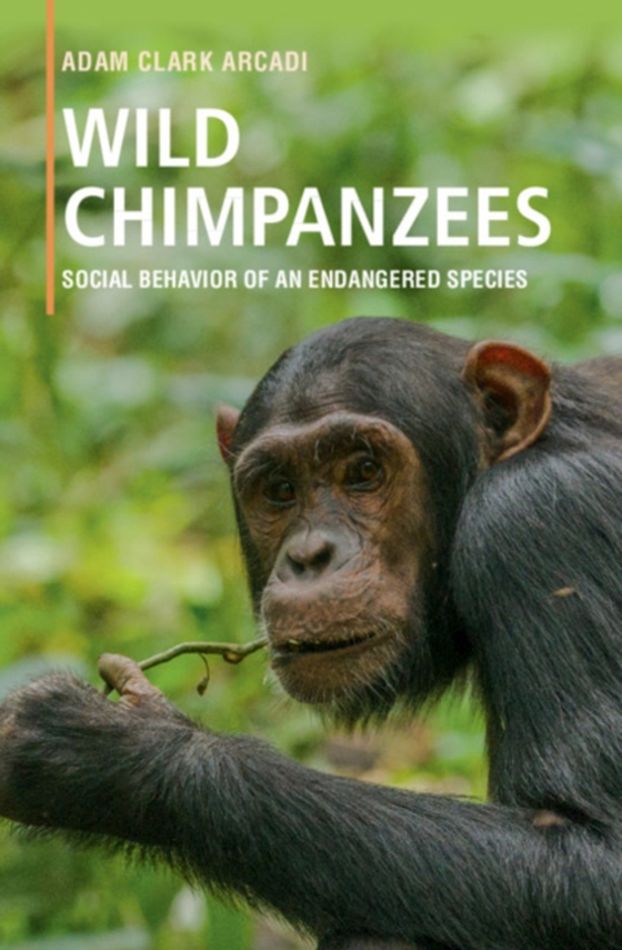 Wild Chimpanzees (e-bog) af Arcadi, Adam Clark