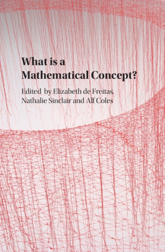 What is a Mathematical Concept? (e-bog) af -