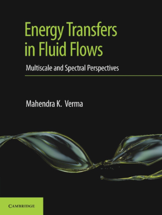 Energy Transfers in Fluid Flows (e-bog) af Verma, Mahendra K.