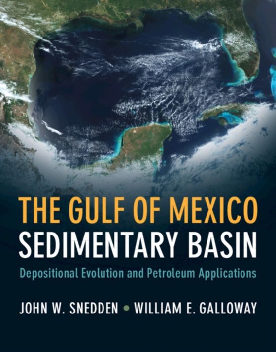 Gulf of Mexico Sedimentary Basin (e-bog) af Galloway, William E.