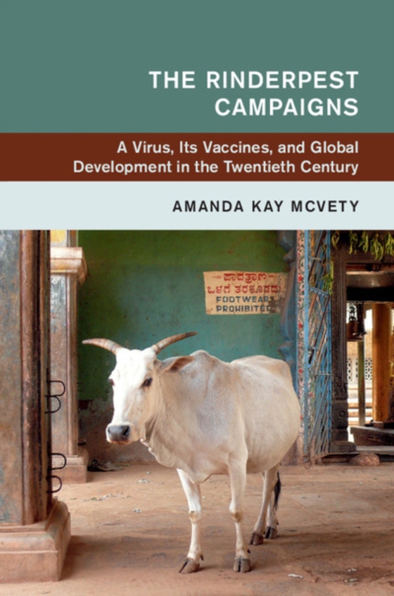 Rinderpest Campaigns (e-bog) af McVety, Amanda Kay