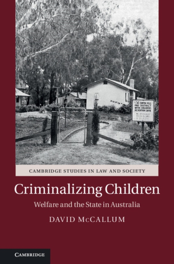 Criminalizing Children (e-bog) af McCallum, David