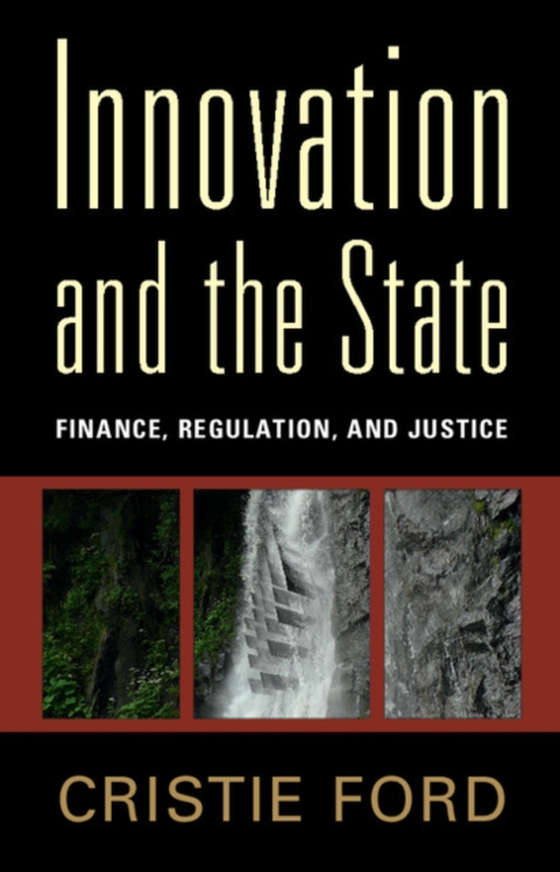 Innovation and the State (e-bog) af Ford, Cristie