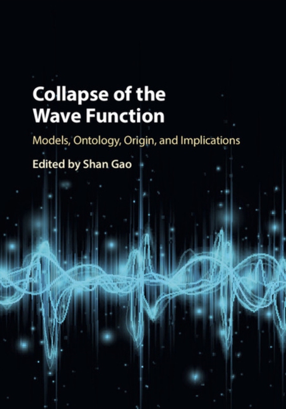 Collapse of the Wave Function (e-bog) af -