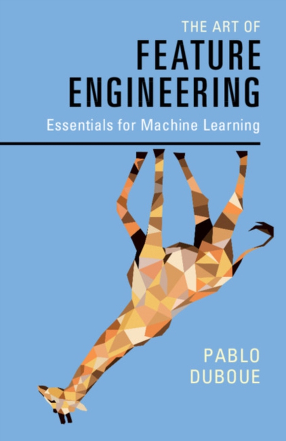 Art of Feature Engineering (e-bog) af Duboue, Pablo