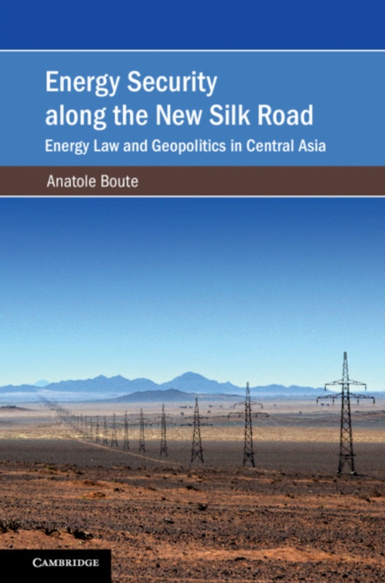 Energy Security along the New Silk Road (e-bog) af Boute, Anatole