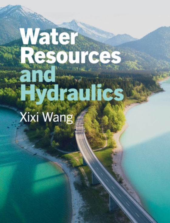 Water Resources and Hydraulics (e-bog) af Wang, Xixi