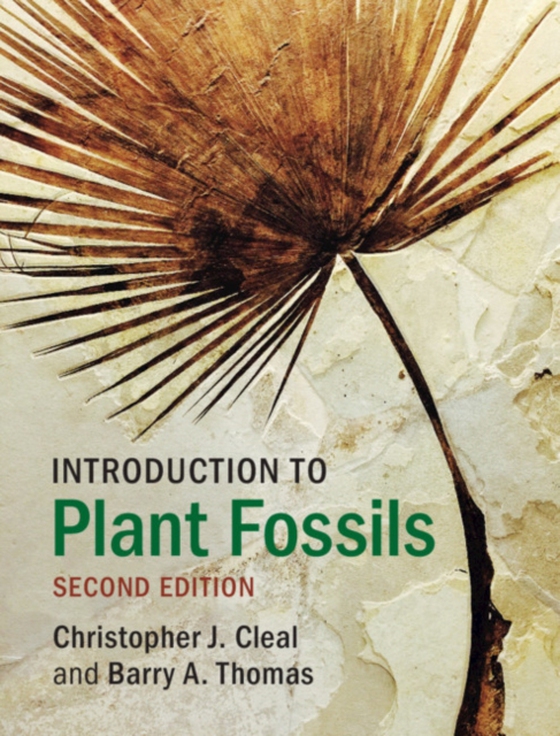 Introduction to Plant Fossils (e-bog) af Thomas, Barry A.