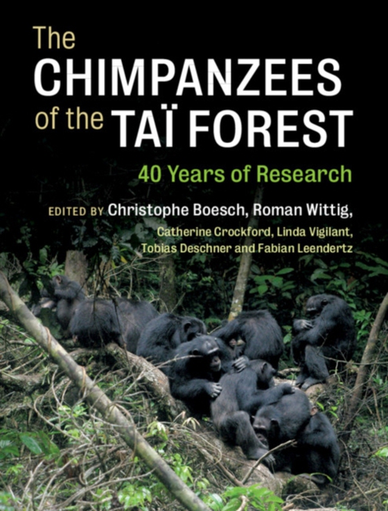 Chimpanzees of the Tai Forest