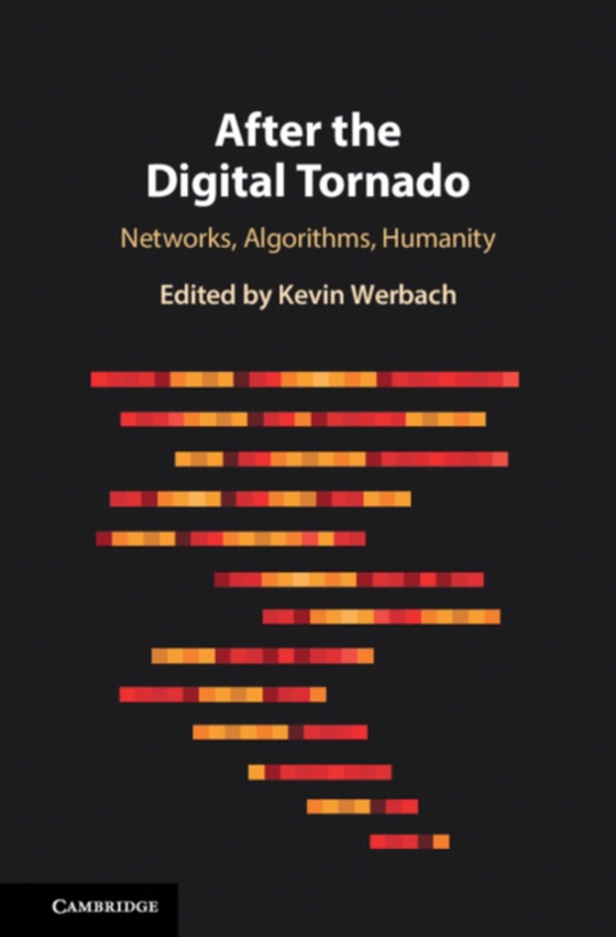 After the Digital Tornado (e-bog) af -