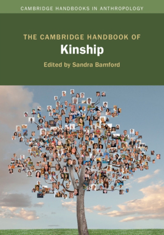 Cambridge Handbook of Kinship (e-bog) af -