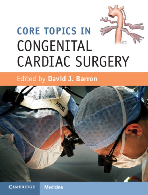 Core Topics in Congenital Cardiac Surgery (e-bog) af -