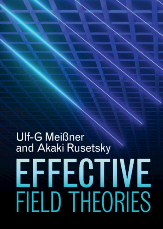 Effective Field Theories (e-bog) af Rusetsky, Akaki