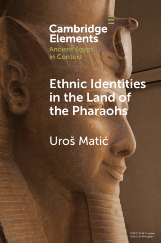 Ethnic Identities in the Land of the Pharaohs (e-bog) af Matic, Uros