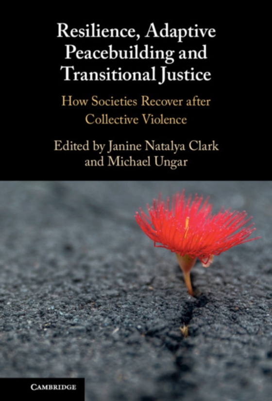 Resilience, Adaptive Peacebuilding and Transitional Justice (e-bog) af -