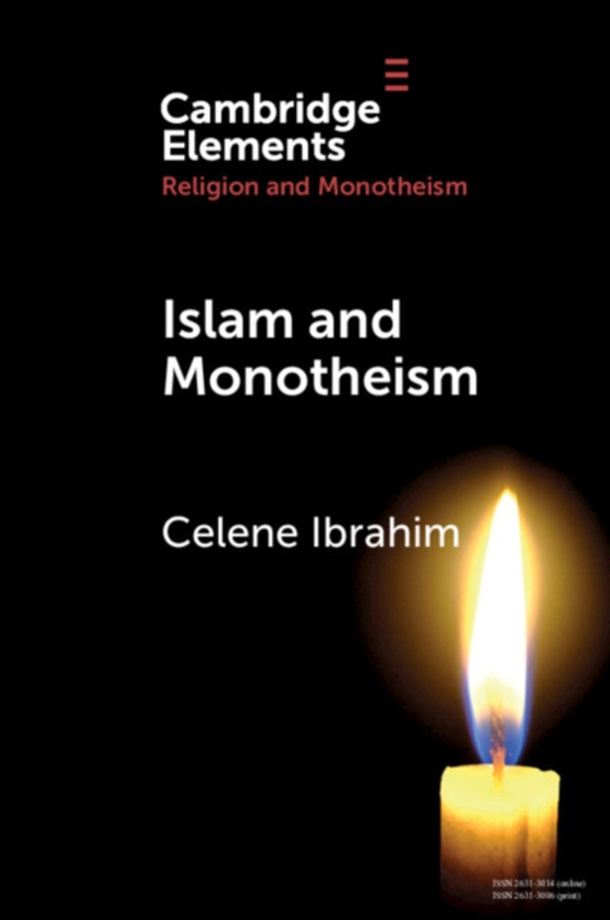 Islam and Monotheism (e-bog) af Ibrahim, Celene