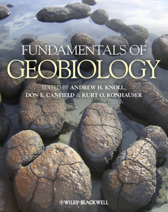 Fundamentals of Geobiology (e-bog) af -