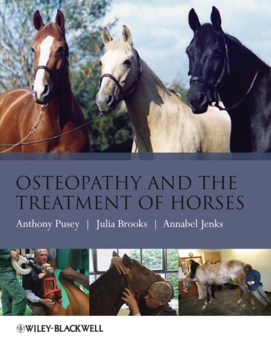 Osteopathy and the Treatment of Horses (e-bog) af Jenks, Annabel
