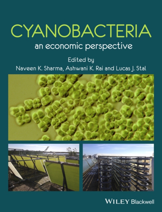 Cyanobacteria (e-bog) af Stal, Lucas J.