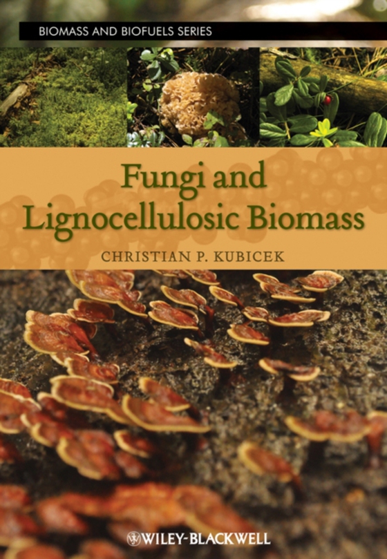 Fungi and Lignocellulosic Biomass (e-bog) af -