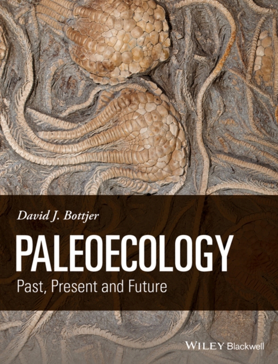 Paleoecology (e-bog) af Bottjer, David J.