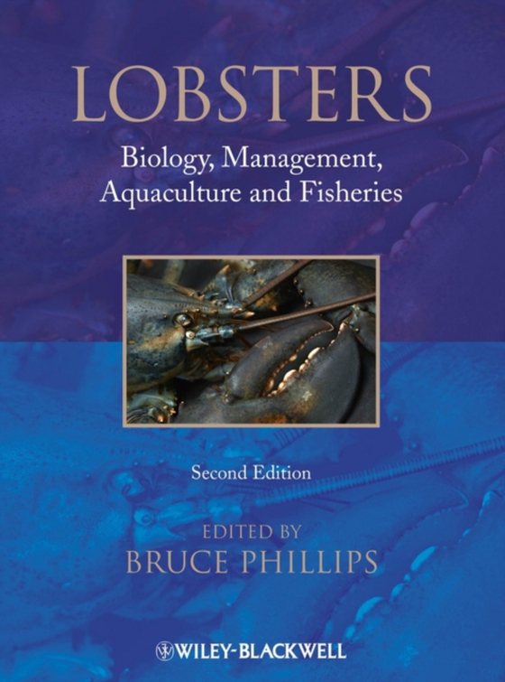 Lobsters (e-bog) af Phillips, Bruce