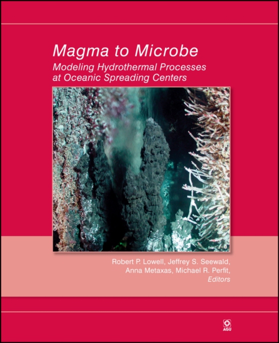 Magma to Microbe (e-bog) af -