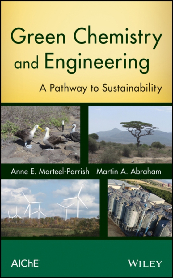 Green Chemistry and Engineering (e-bog) af Abraham, Martin A.