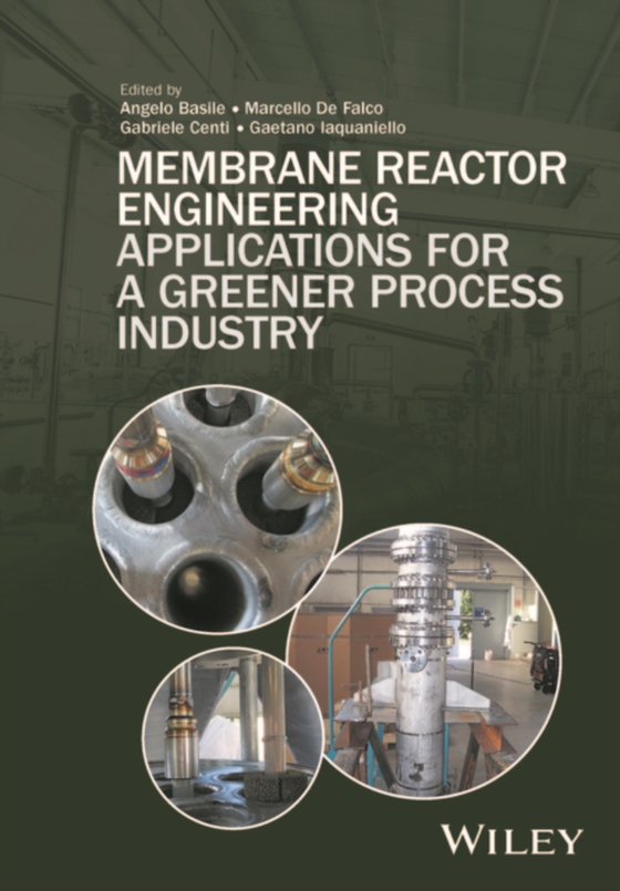 Membrane Reactor Engineering (e-bog) af -