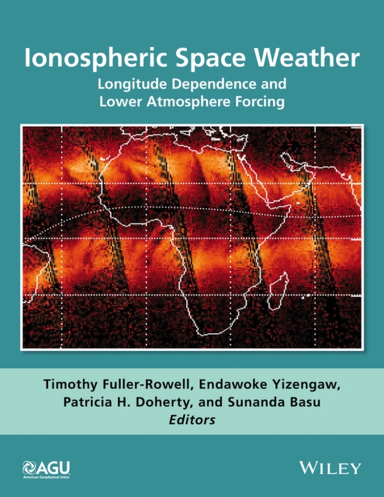 Ionospheric Space Weather (e-bog) af -