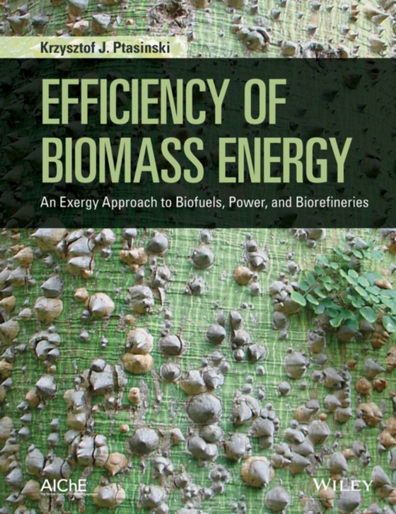Efficiency of Biomass Energy (e-bog) af Ptasinski, Krzysztof J.