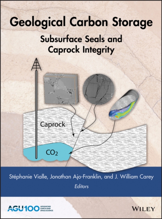 Geological Carbon Storage (e-bog) af -