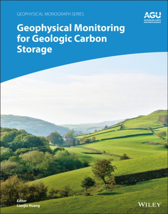 Geophysical Monitoring for Geologic Carbon Storage (e-bog) af -