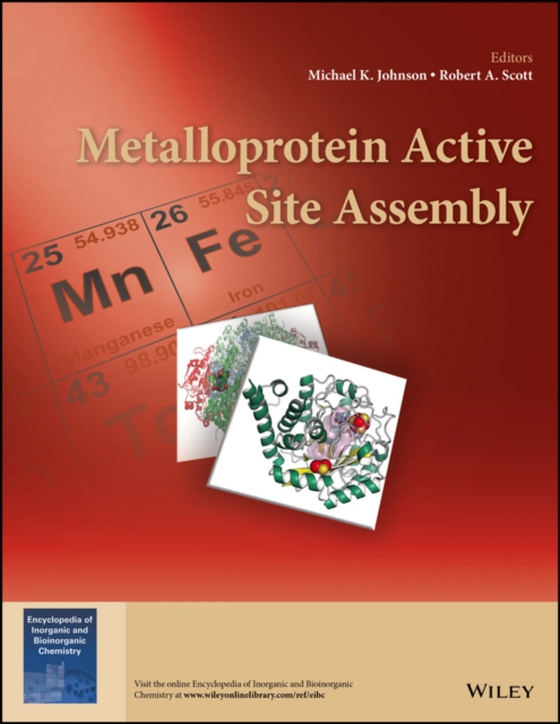 Metalloprotein Active Site Assembly (e-bog) af -