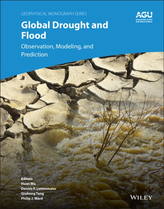 Global Drought and Flood (e-bog) af -