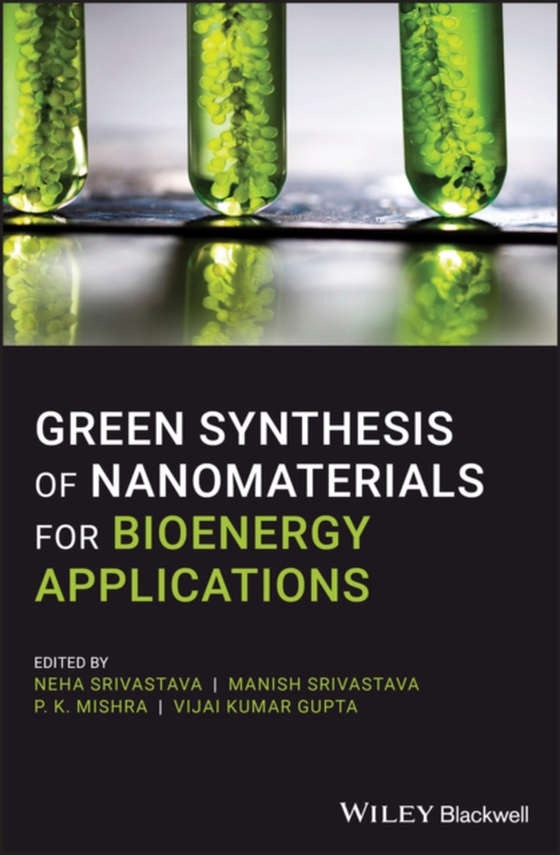 Green Synthesis of Nanomaterials for Bioenergy Applications (e-bog) af -