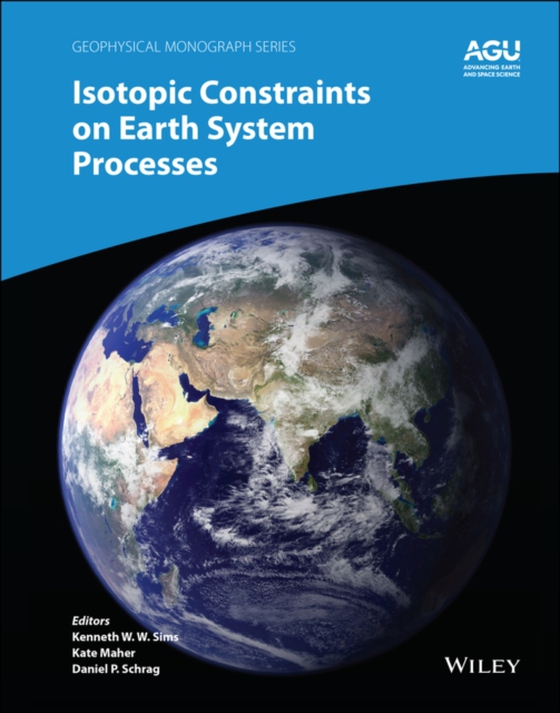 Isotopic Constraints on Earth System Processes (e-bog) af -