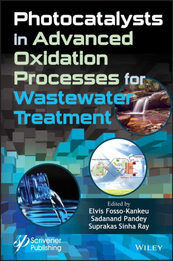 Photocatalysts in Advanced Oxidation Processes for Wastewater Treatment (e-bog) af -