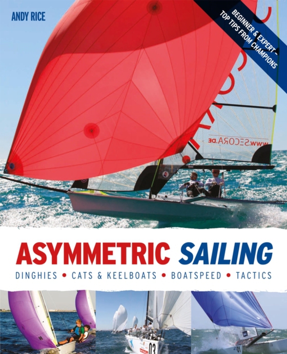 Asymmetric Sailing (e-bog) af Rice, Andy