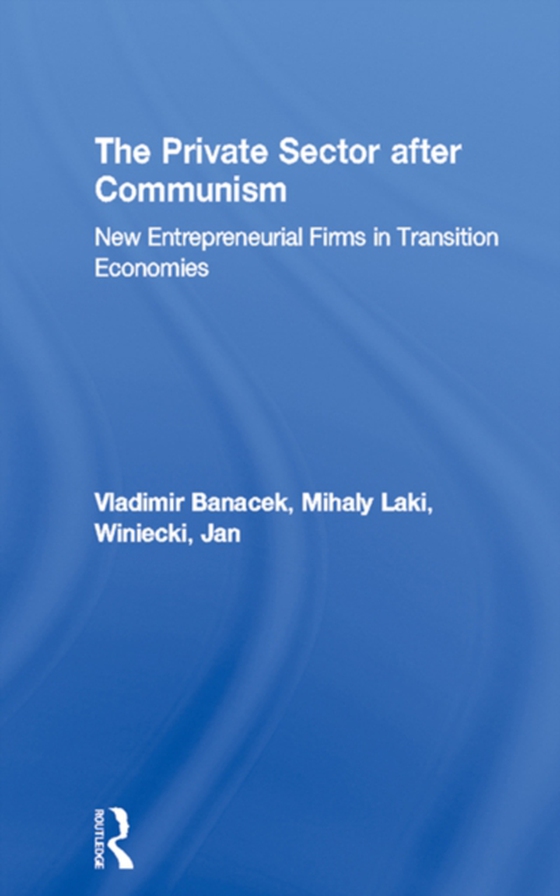 Private Sector after Communism (e-bog) af Winiecki, Jan
