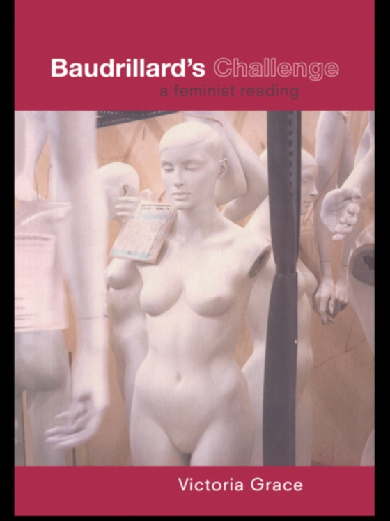 Baudrillard's Challenge